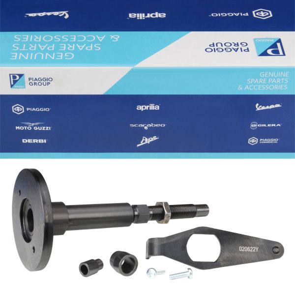 Schlagdorn Werkzeug Öldichtring Antriebsseite für Aprilia SR Scarabeo Sportcity Atlantic Mojito / Derbi Rambla - Piaggio (020622Y)