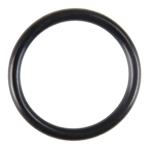 O-Ring Dichtring 17x2,0 mm NBR (108159)