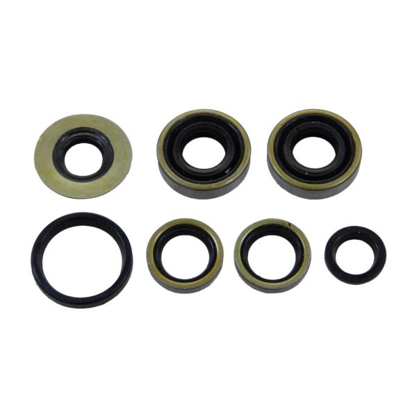 Wellendichtring Satz Motor für Sachs 50 Saxonette 50/A 50/2 Motor (714467)
