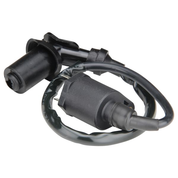 Zündspule Standard 4 Takt China Motoren GY6 QMA QMB Baotian (339022)