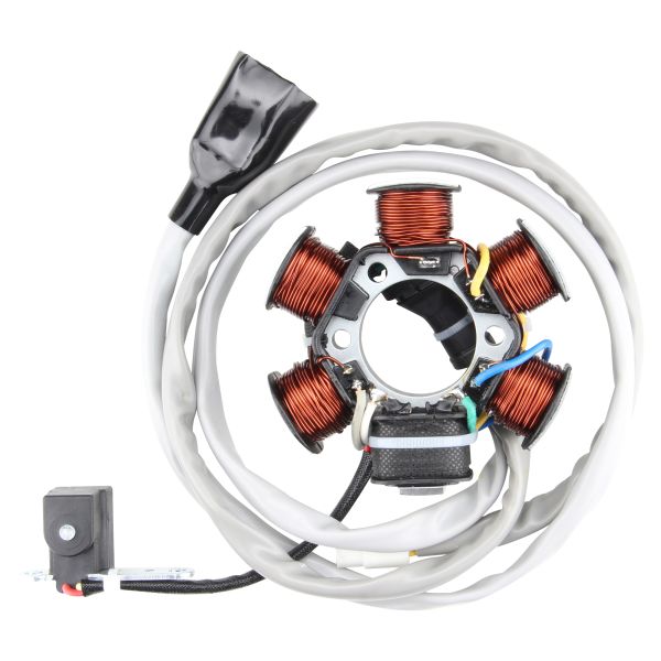 Lichtmaschine Stator Ankerplatte für Piaggio Liberty Hexagon Vespa ET4 125 1996-1998 (105521)