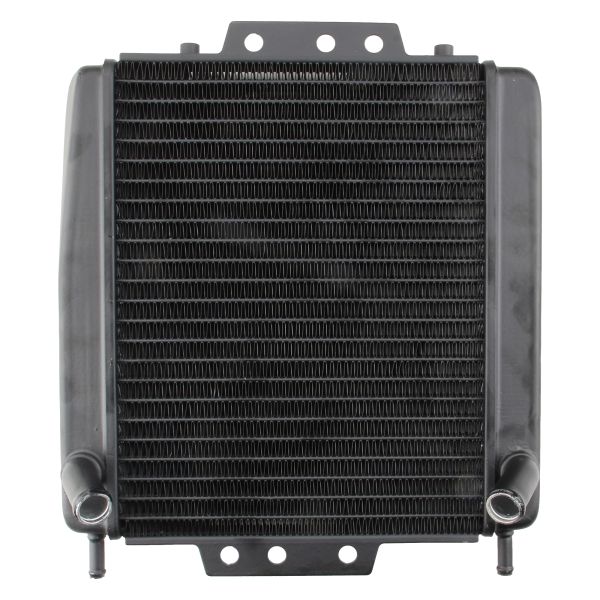 Wasserkühler schwarz für Piaggio MP3 125 250 300 350 400 500 / Gilera Fuoco 500 - Citomerx (110562)