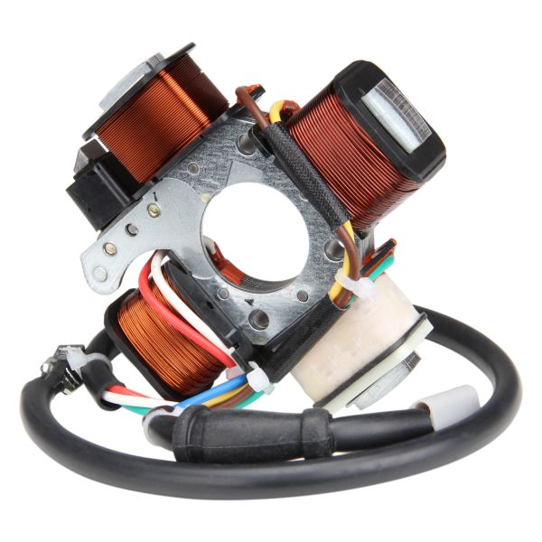 Lichtmaschine Zündung für Piaggio Vespa Ciao Bravo Si Mofa Moped (105508)