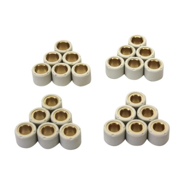 Variomatikrollen Gewichte 16x13 6,2-9,5g für TGB Bullet 50 RR RS Pegasus R50X (112394)
