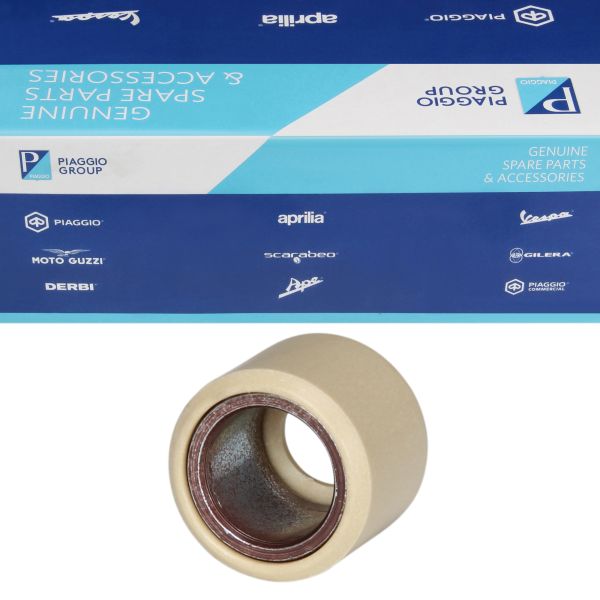 Variomatikgewicht Variomatikrolle CM294902 21x17mm 14,0g für Vespa GTS 300 Super Sport Tech HPE / Piaggio Beverly MP3 30 (CM294902)