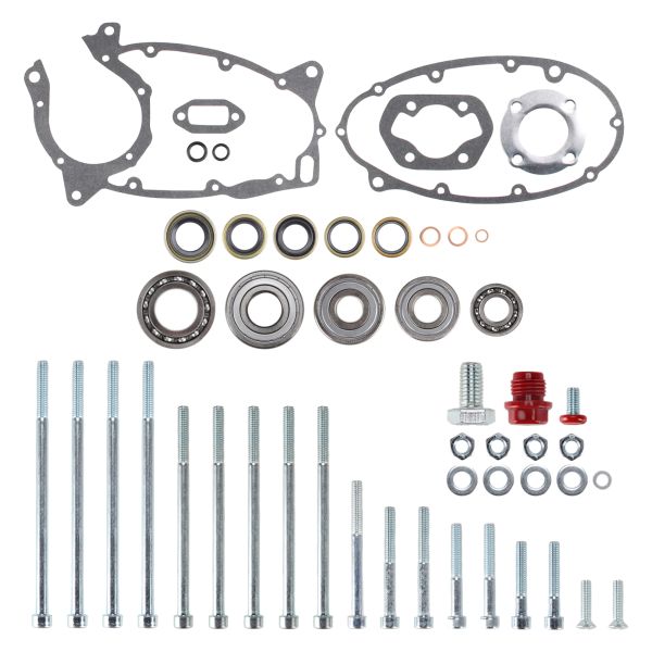 Motor Reparatur Satz inkl. Schrauben für Zündapp GTS 50 Sport Typ 517-35L0 | Citomerx (106329)