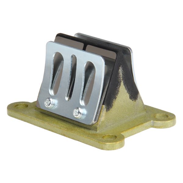 Membranblock (58x35mm) für Yamaha DT 50 R M MX (bis 2003) / RD 50 M MX DX (2A3-13610-01)