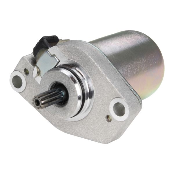 Anlasser (9 Zähne / gegen Uhrzeigersinn) für Minarelli AC LC / Yamaha Aerox Jog BWs Neos / MBK Aprilia Malaguti (246390020)