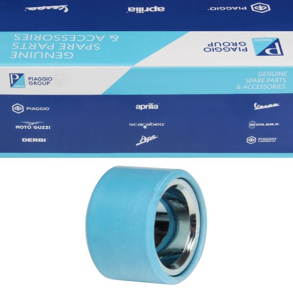 Variomatikgewicht Variomatikrolle 25x17mm 21g für Aprilia Atlantic Scarabeo / Piaggio Beverly MP3 X9 X10 400 500 (830899)