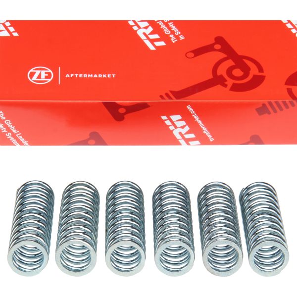 Kupplungsfedern verstärkt TRW MEF117-6 für Yamaha FZ6 / FZ FZR XTZ YZF 750 / TDM 850 / WR YFZ 450 / XJ 900 / XJ6 YZF-R6 (913894)