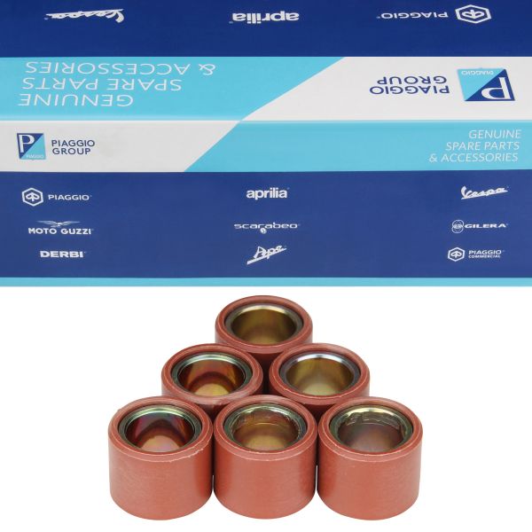 6x Variomatikrolle Variomatikgewichte Variorolle 21x17 14g für Piaggio Vespa GTS GTV 300 (8494806)
